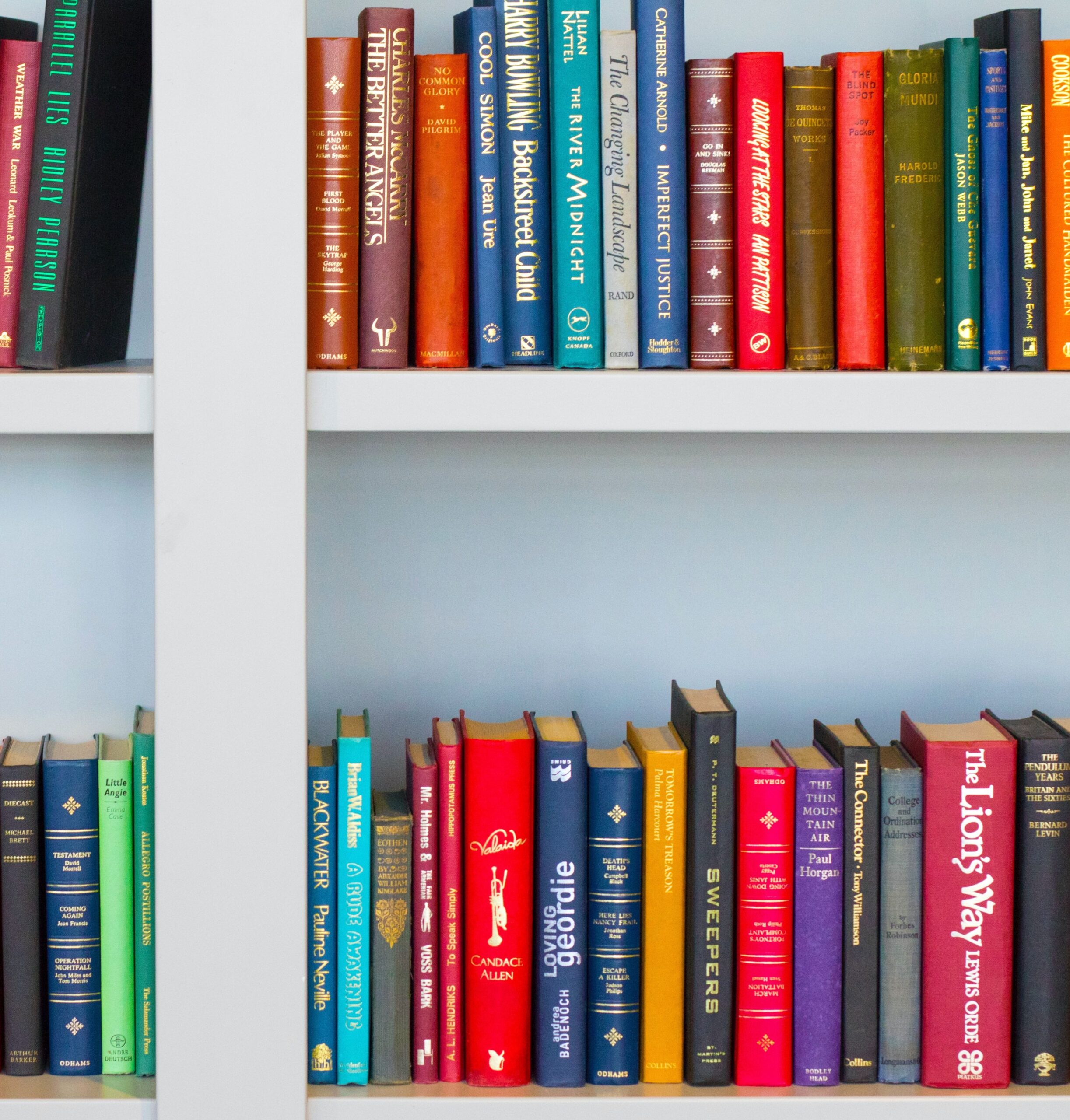 nick-fewings-f2Bi-VBs71M-unsplash (1)